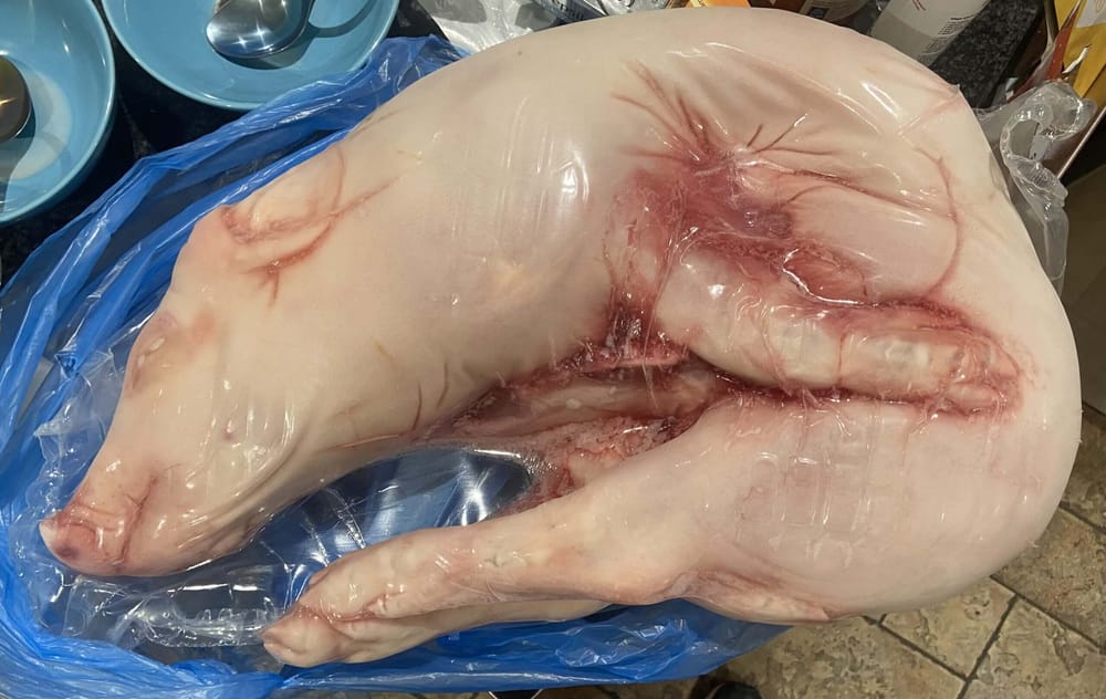 packaged suckling pig